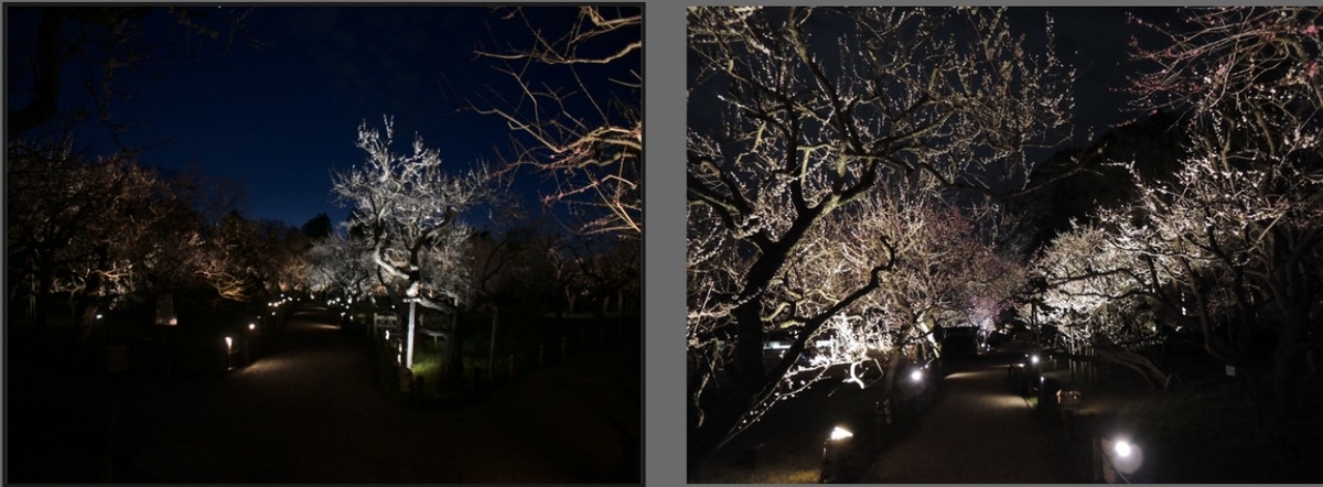 f:id:computer_philosopher:20200304154746j:plain f:id:computer_philosopher:20200304154746j:plain