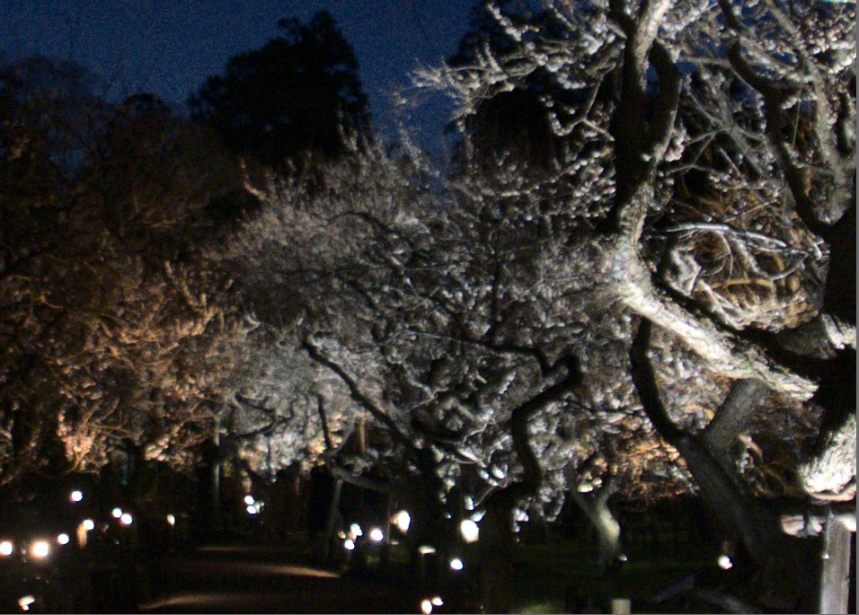 f:id:computer_philosopher:20200304154808j:plain f:id:computer_philosopher:20200304154808j:plain