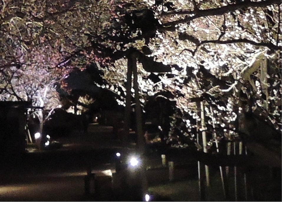 f:id:computer_philosopher:20200304154831j:plain f:id:computer_philosopher:20200304154831j:plain