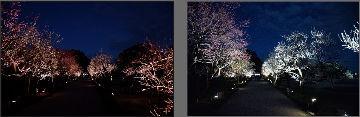 f:id:computer_philosopher:20200305150200j:plain