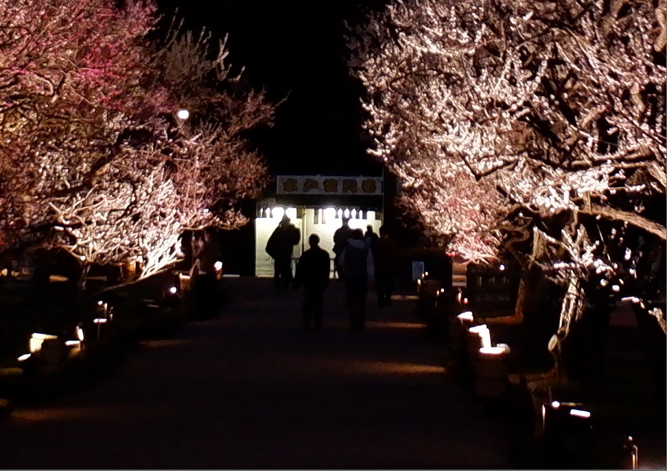 f:id:computer_philosopher:20200305150223j:plain