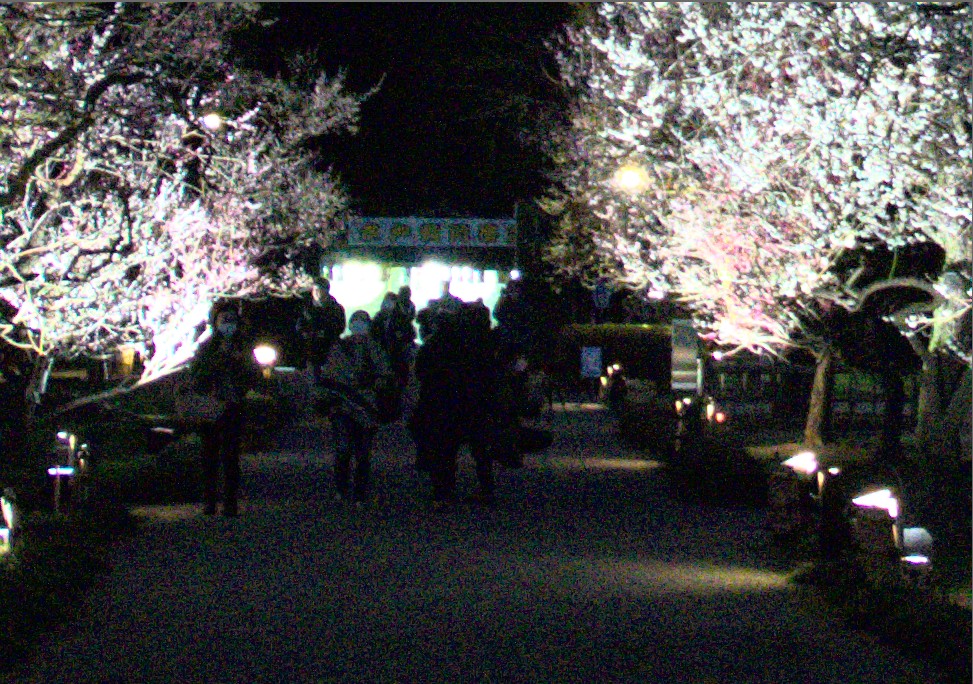 f:id:computer_philosopher:20200305150250j:plain