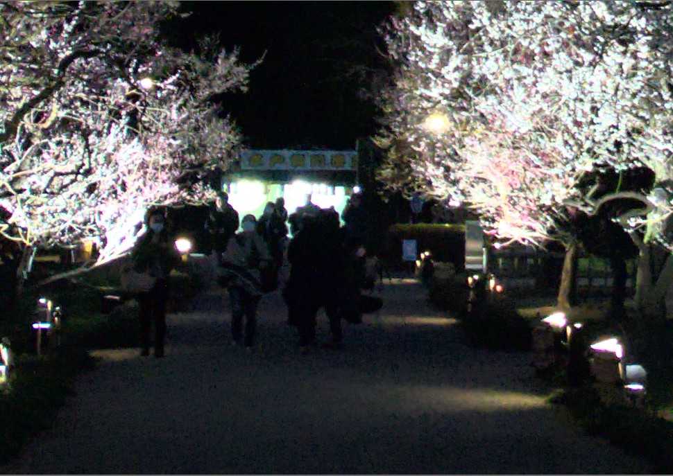 f:id:computer_philosopher:20200305150318j:plain