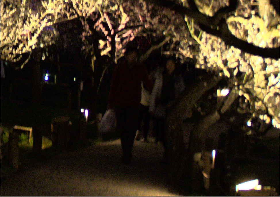 f:id:computer_philosopher:20200305150338j:plain