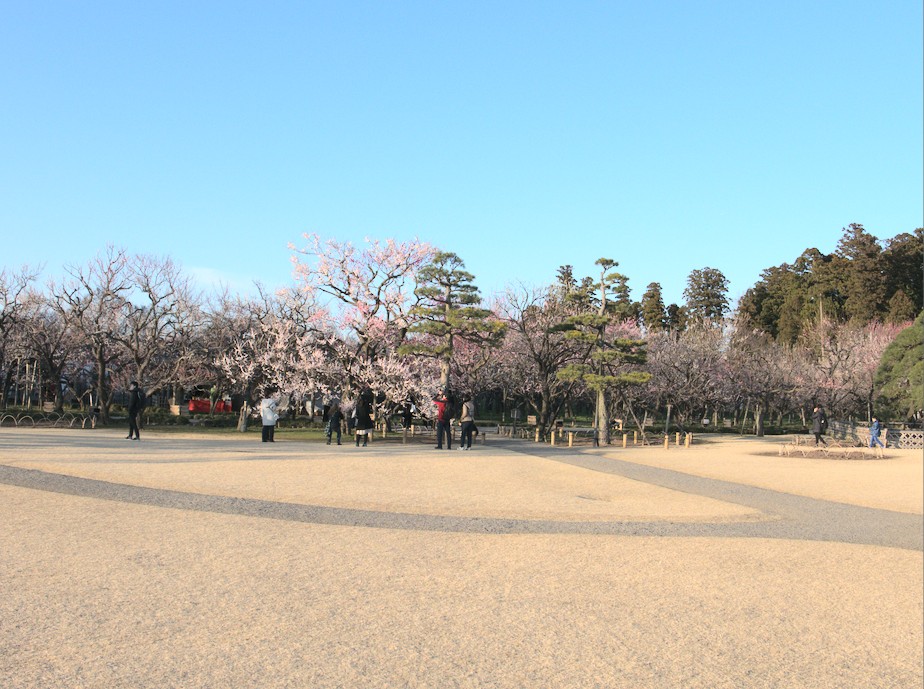 f:id:computer_philosopher:20200306091253j:plain f:id:computer_philosopher:20200306091253j:plain