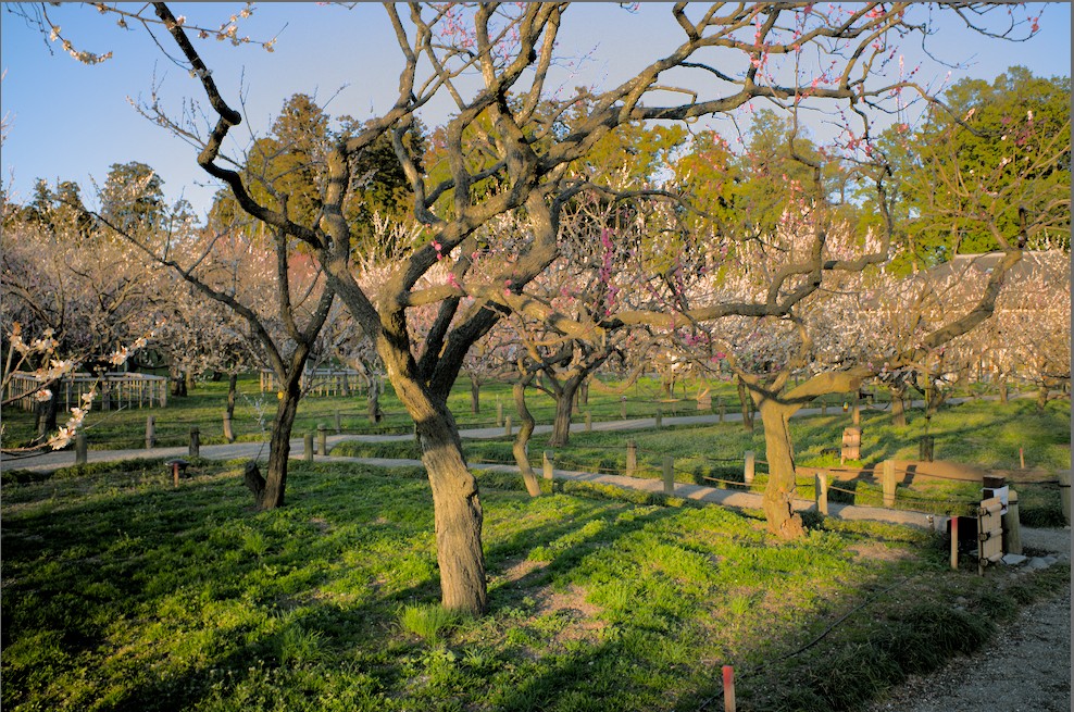 f:id:computer_philosopher:20200306091322j:plain f:id:computer_philosopher:20200306091322j:plain