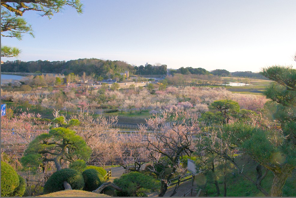 f:id:computer_philosopher:20200306091346j:plain f:id:computer_philosopher:20200306091346j:plain