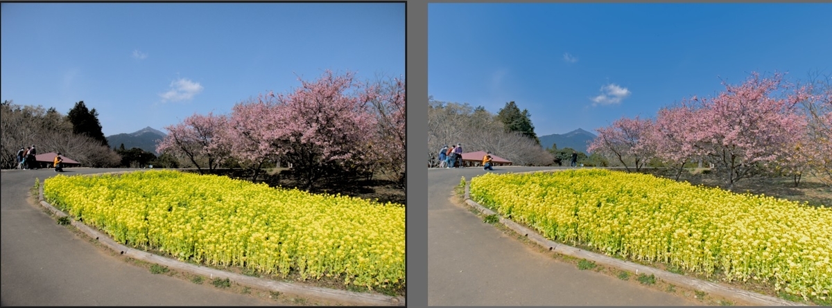 f:id:computer_philosopher:20200316080215j:plain f:id:computer_philosopher:20200316080215j:plain