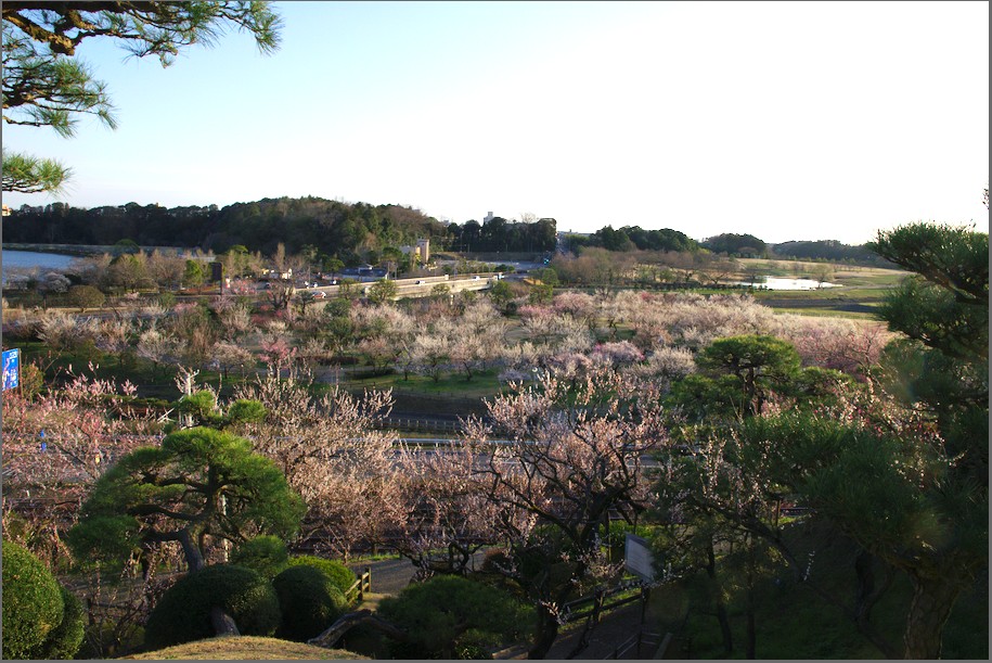 f:id:computer_philosopher:20200317170935j:plain f:id:computer_philosopher:20200317170935j:plain