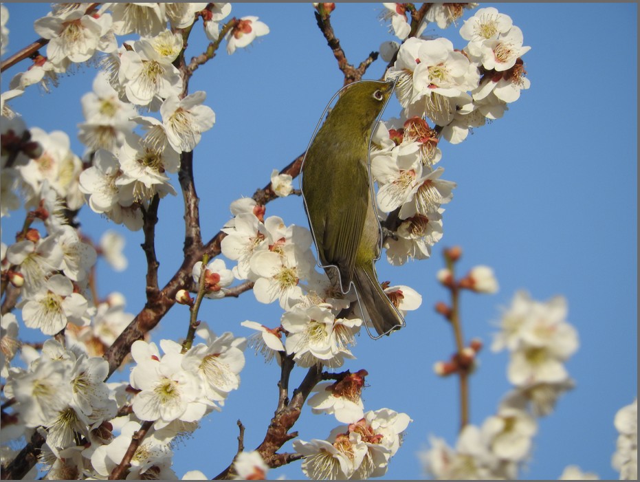 f:id:computer_philosopher:20200323081627j:plain f:id:computer_philosopher:20200323081627j:plain