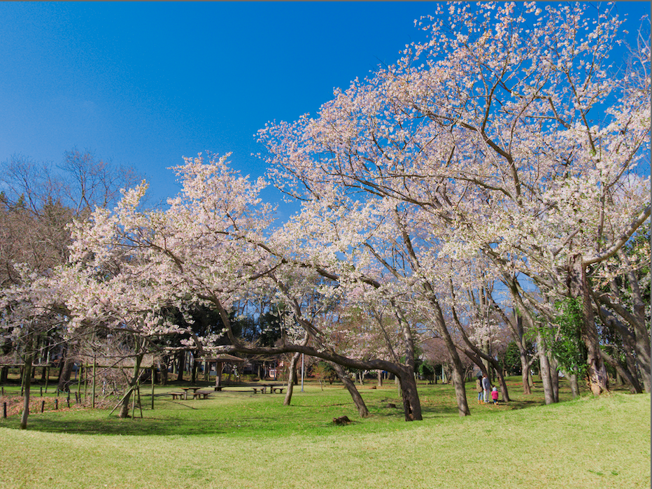 f:id:computer_philosopher:20200324104210p:plain