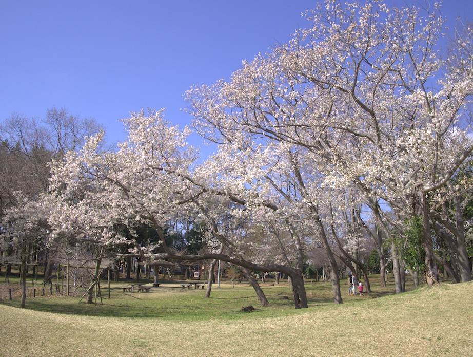 f:id:computer_philosopher:20200324114903j:plain f:id:computer_philosopher:20200324114903j:plain