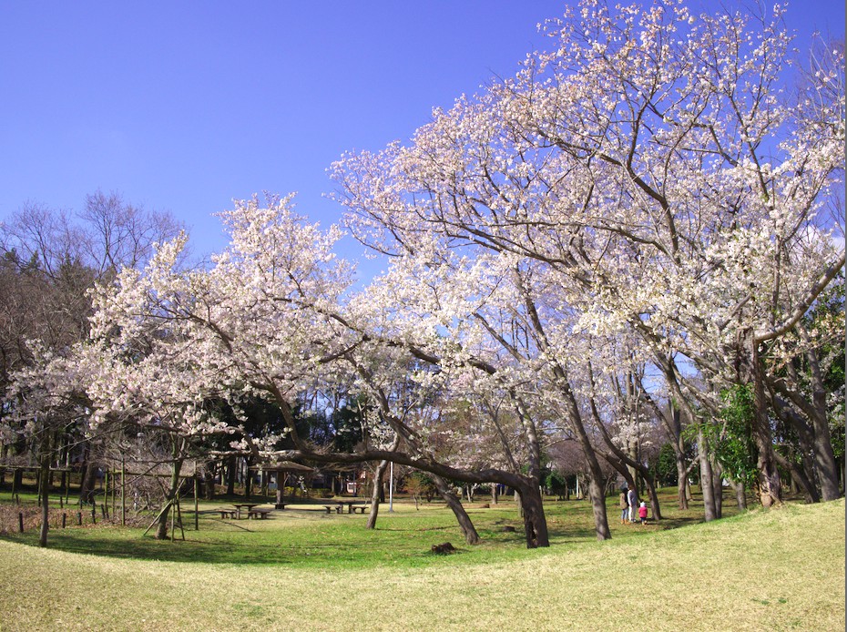 f:id:computer_philosopher:20200324114935j:plain f:id:computer_philosopher:20200324114935j:plain