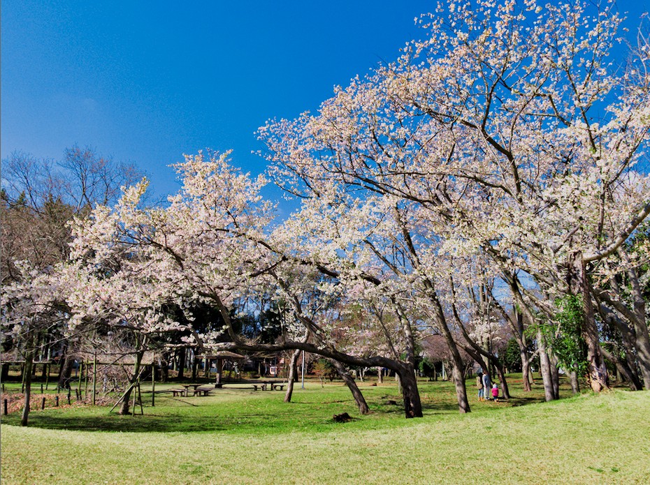 f:id:computer_philosopher:20200324115036j:plain f:id:computer_philosopher:20200324115036j:plain