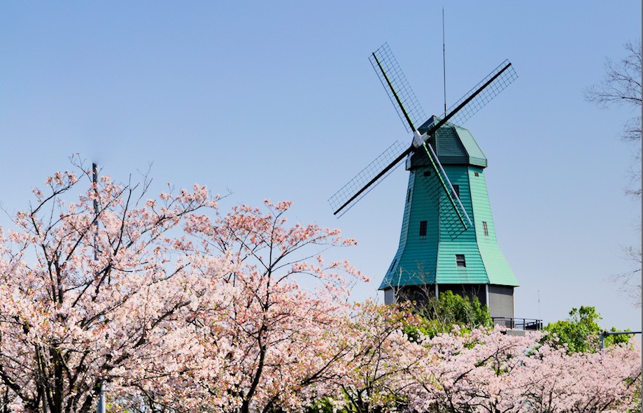 霞ヶ浦総合公園 つくば市とその周辺の風景写真案内 1２ Computer Philosopher S Diary