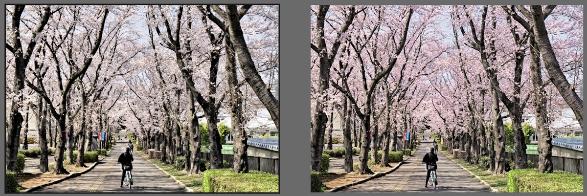 f:id:computer_philosopher:20200411201125j:plain