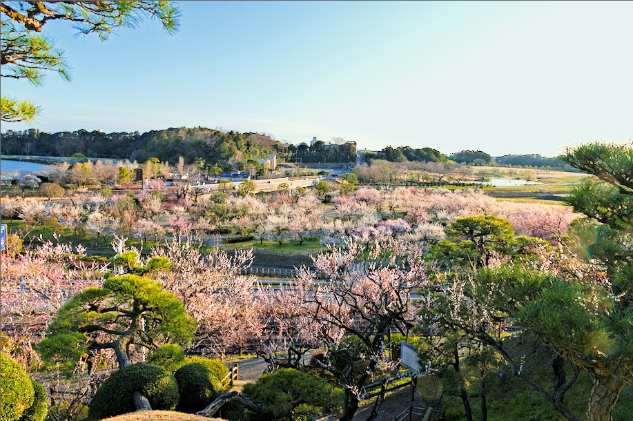 f:id:computer_philosopher:20200416100625j:plain