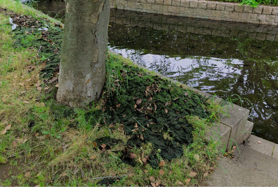 f:id:computer_philosopher:20200530110017j:plain f:id:computer_philosopher:20200530110017j:plain