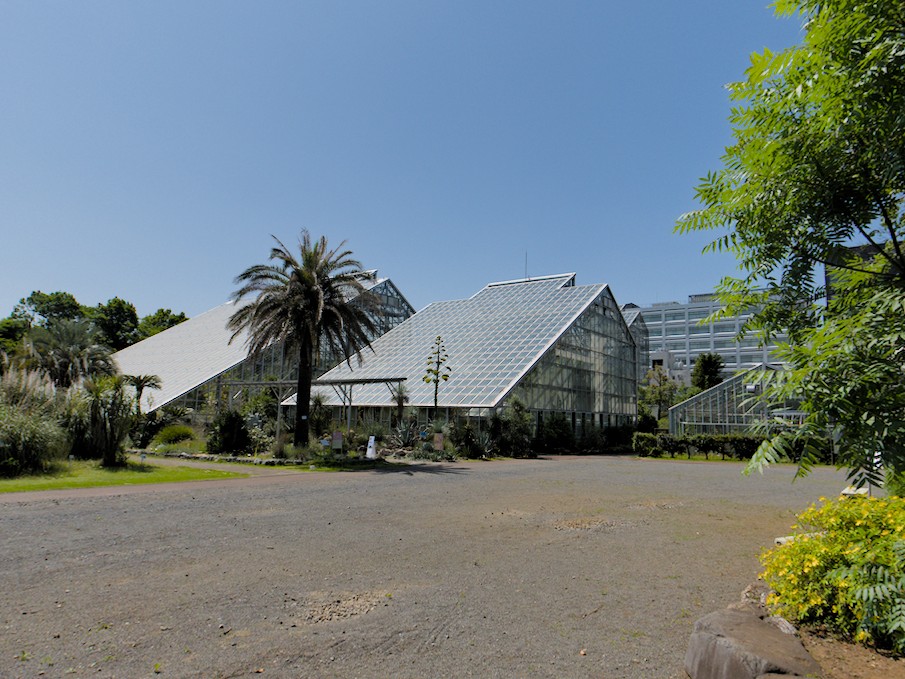 f:id:computer_philosopher:20200611123605j:plain