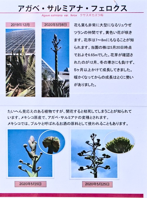 f:id:computer_philosopher:20200611123657j:plain