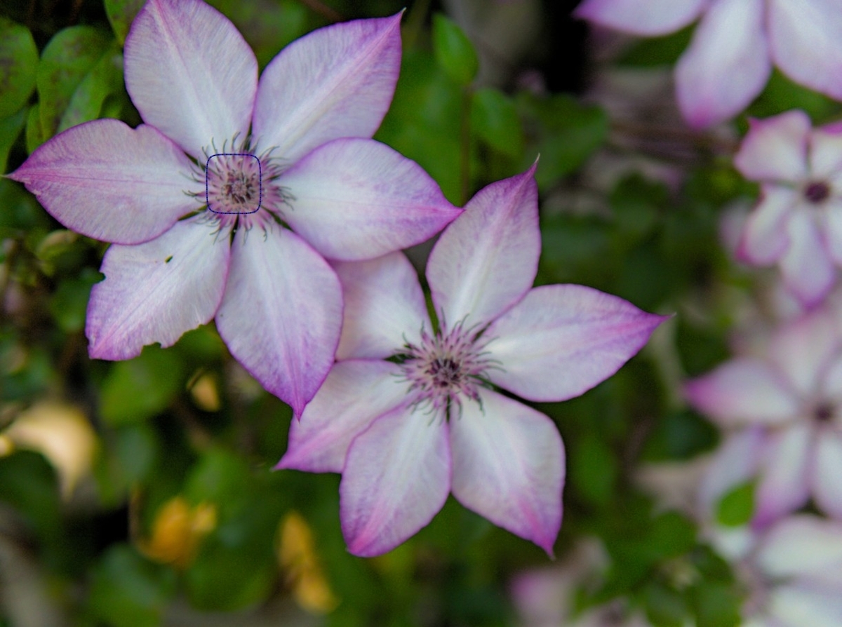 f:id:computer_philosopher:20200612092127j:plain