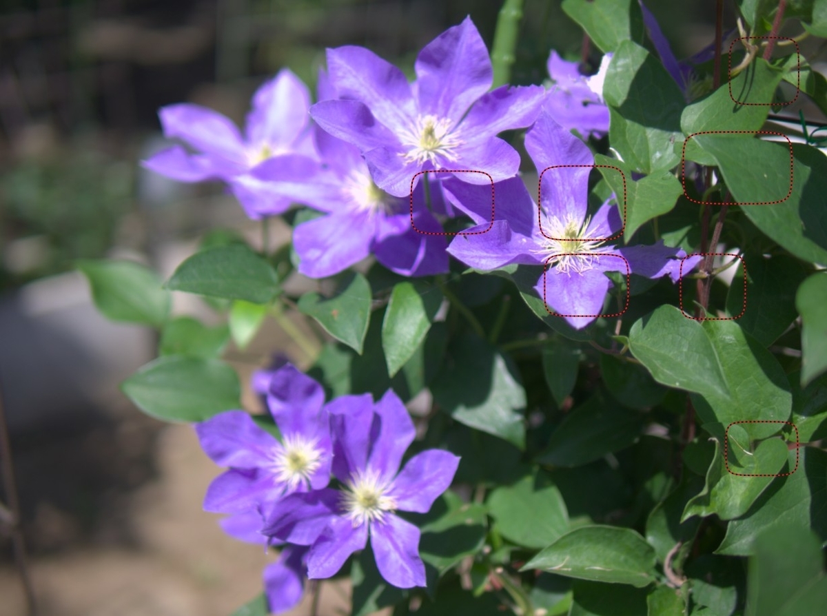 f:id:computer_philosopher:20200612092259j:plain