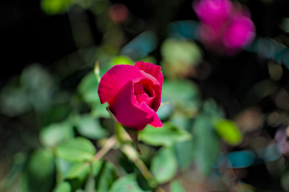 f:id:computer_philosopher:20200612092523j:plain