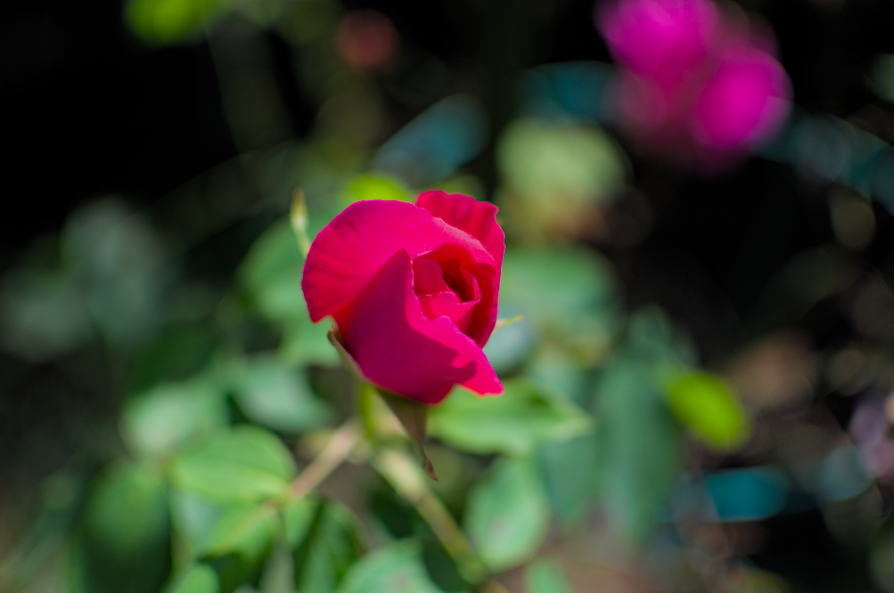 f:id:computer_philosopher:20200612092608p:plain