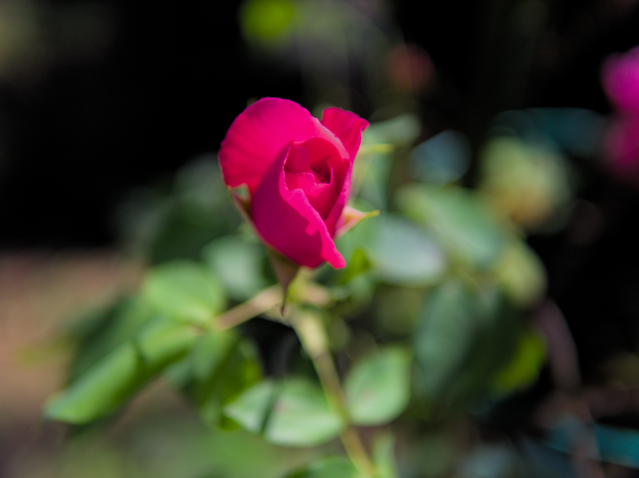 f:id:computer_philosopher:20200612092634p:plain