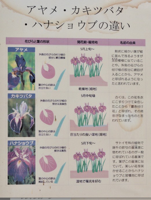 f:id:computer_philosopher:20200615100037j:plain