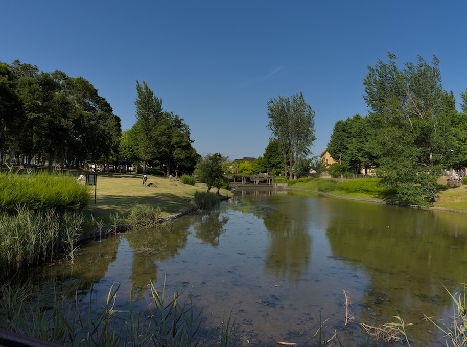 f:id:computer_philosopher:20200623082433j:plain