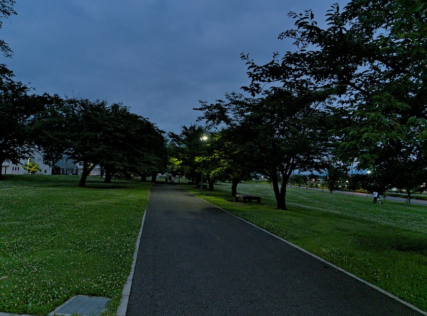 f:id:computer_philosopher:20200701130306j:plain