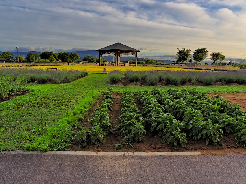 f:id:computer_philosopher:20200709154733j:plain