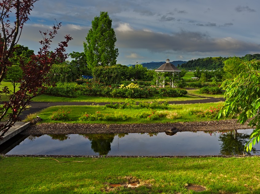 f:id:computer_philosopher:20200709154759j:plain