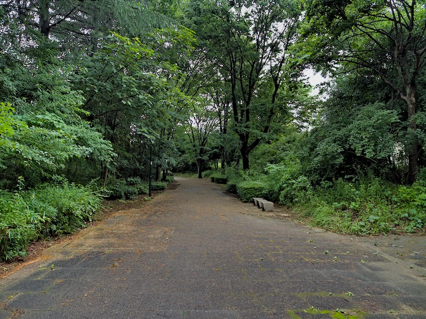 f:id:computer_philosopher:20200718142538j:plain