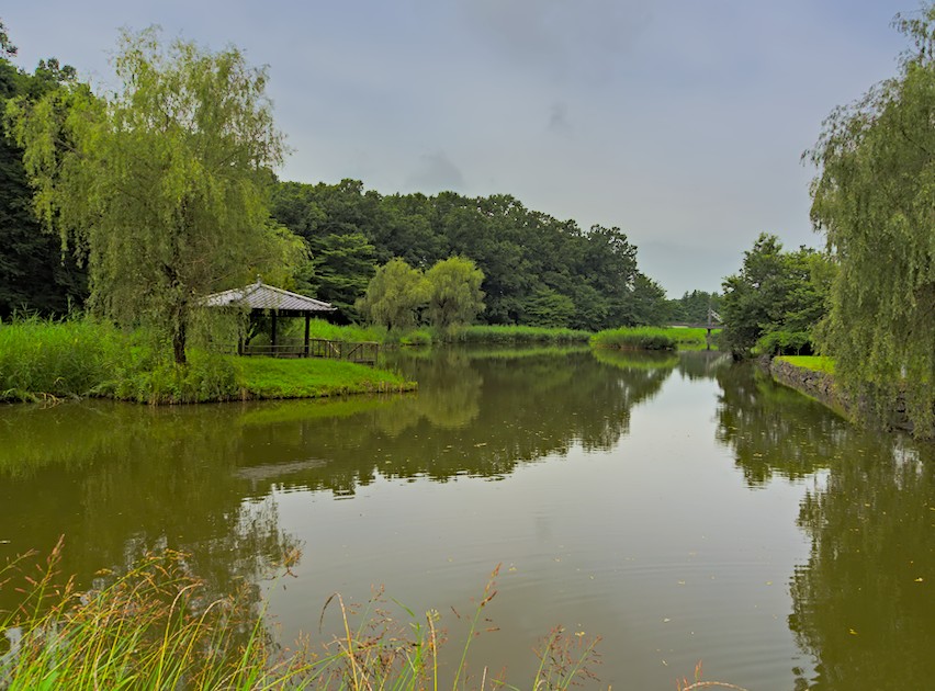 f:id:computer_philosopher:20200728191434j:plain f:id:computer_philosopher:20200728191434j:plain