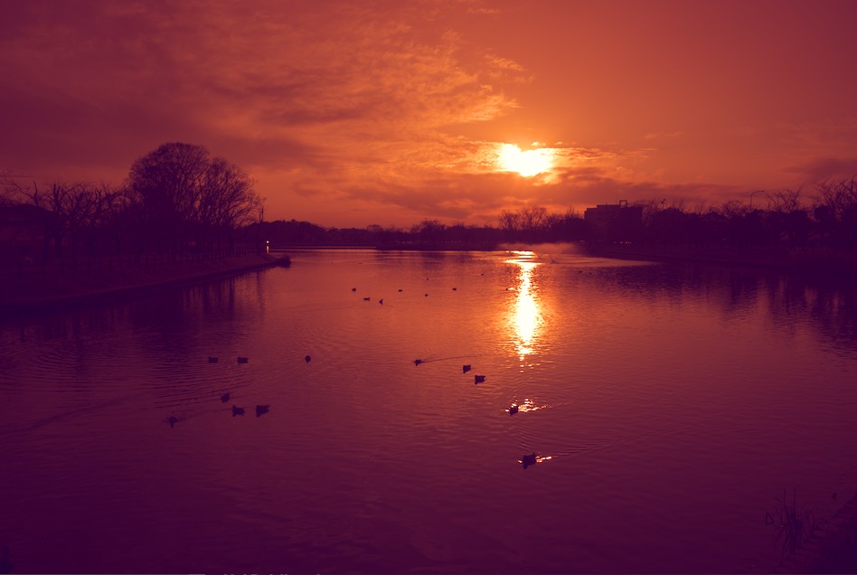 f:id:computer_philosopher:20200729155717j:plain f:id:computer_philosopher:20200729155717j:plain