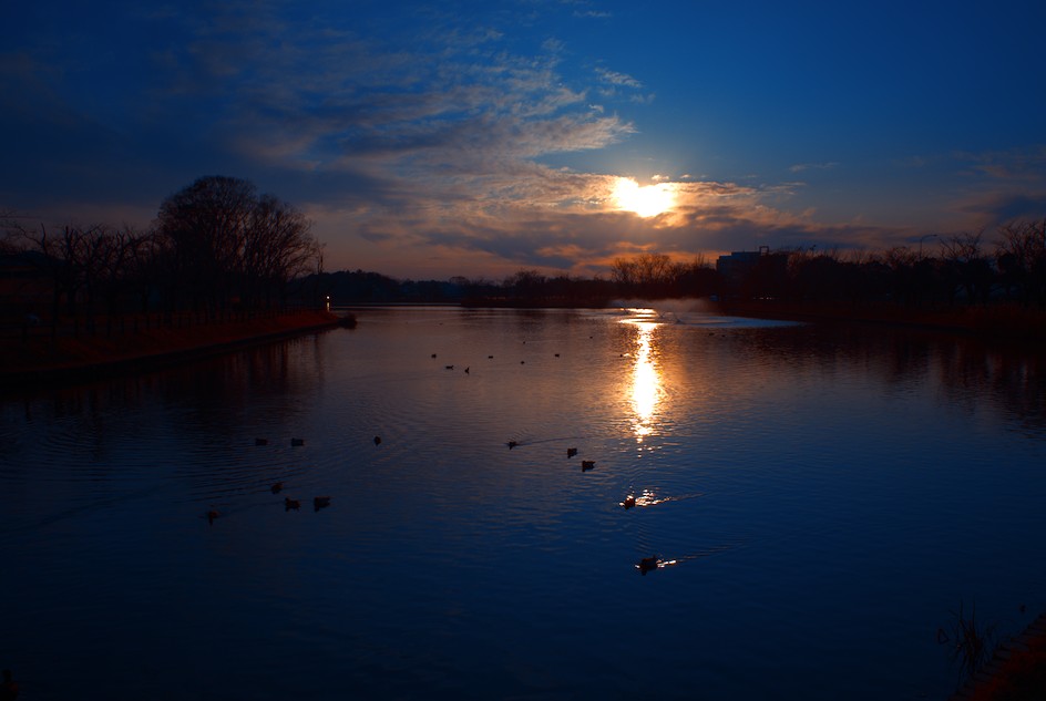 f:id:computer_philosopher:20200729155756j:plain f:id:computer_philosopher:20200729155756j:plain