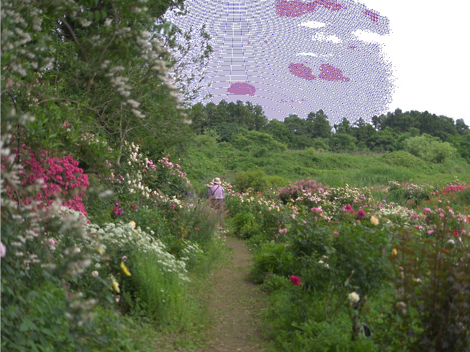 f:id:computer_philosopher:20200817082853j:plain