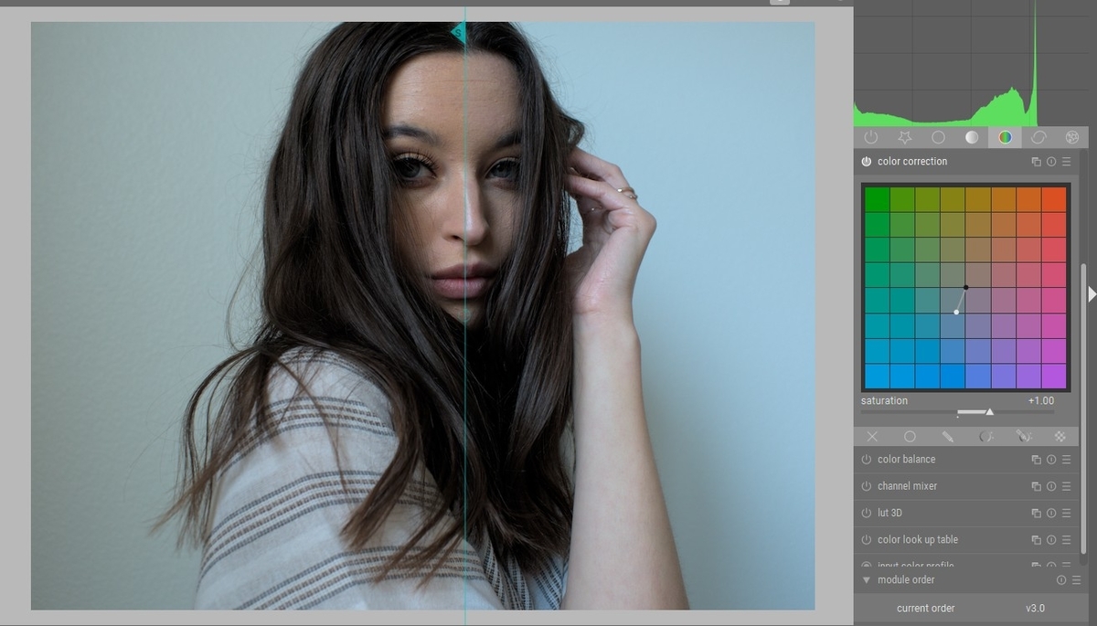 f:id:computer_philosopher:20200821095651j:plain f:id:computer_philosopher:20200821095651j:plain