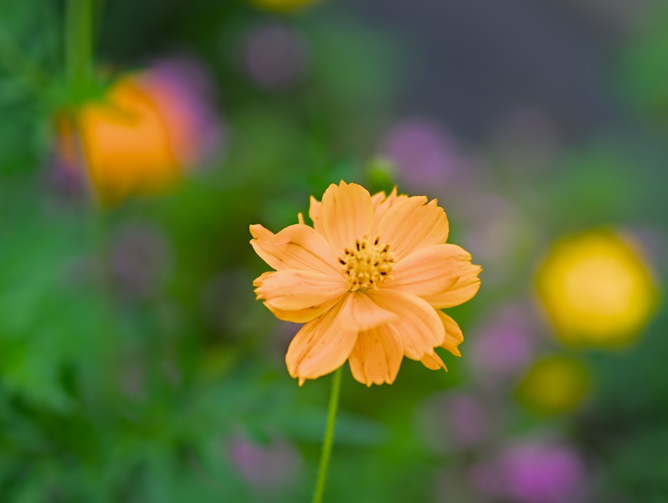 f:id:computer_philosopher:20200829122842j:plain