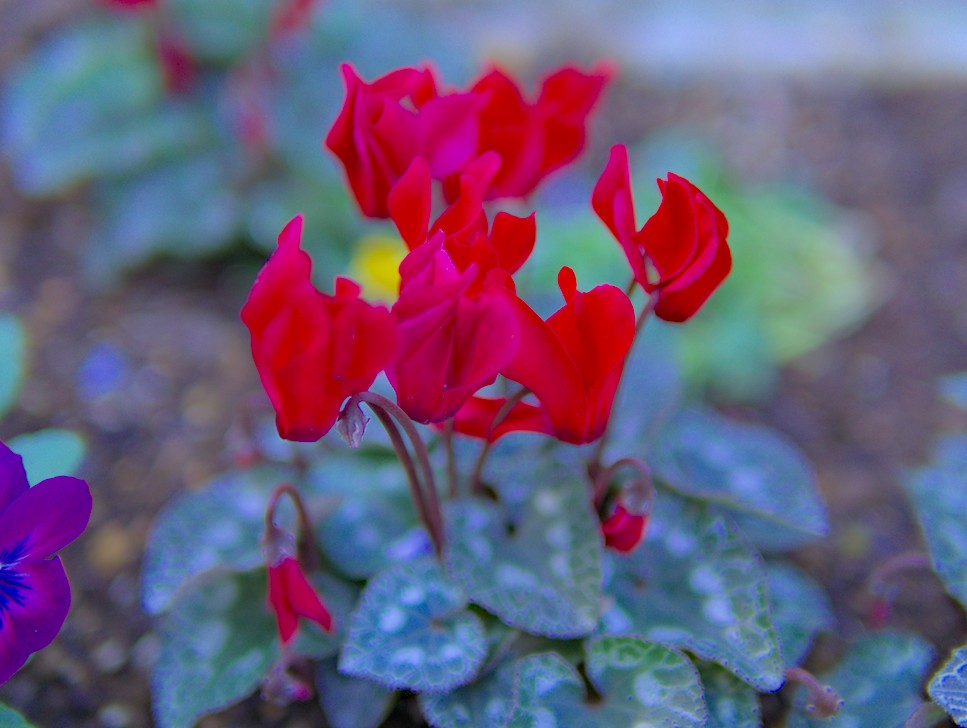 f:id:computer_philosopher:20200829123000j:plain