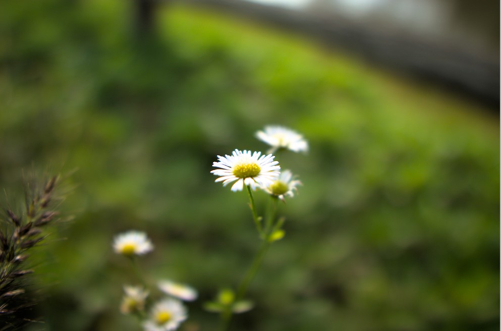 f:id:computer_philosopher:20200829123023j:plain