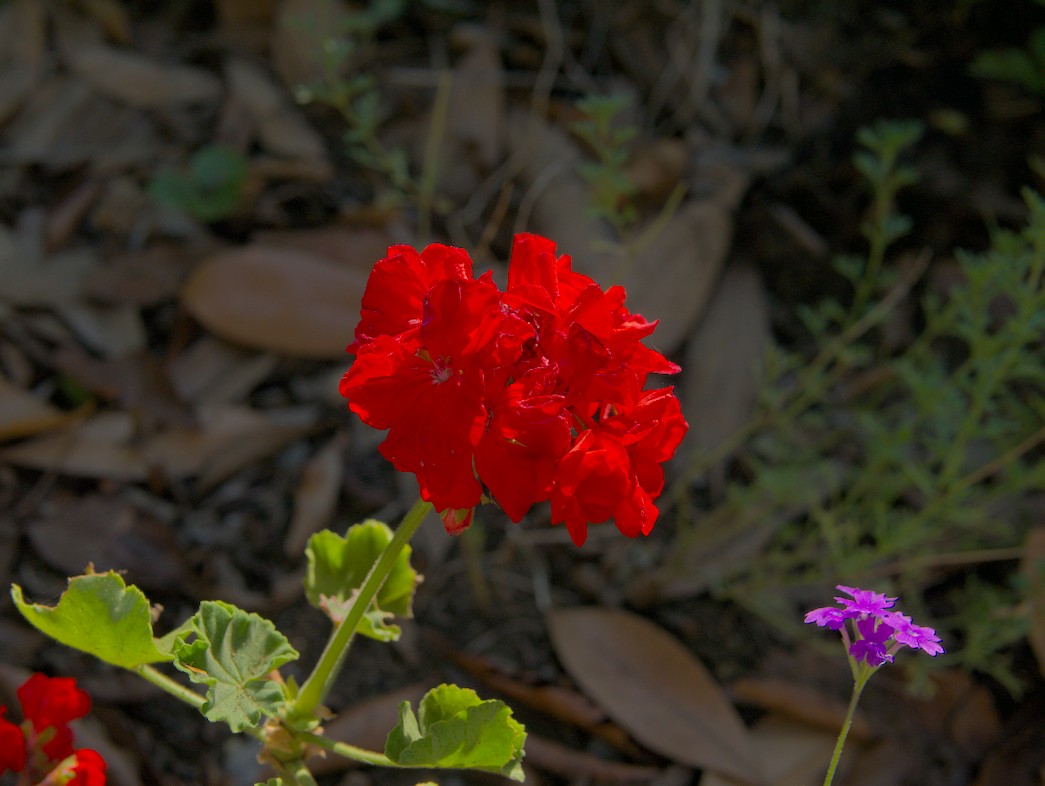 f:id:computer_philosopher:20200901111008j:plain