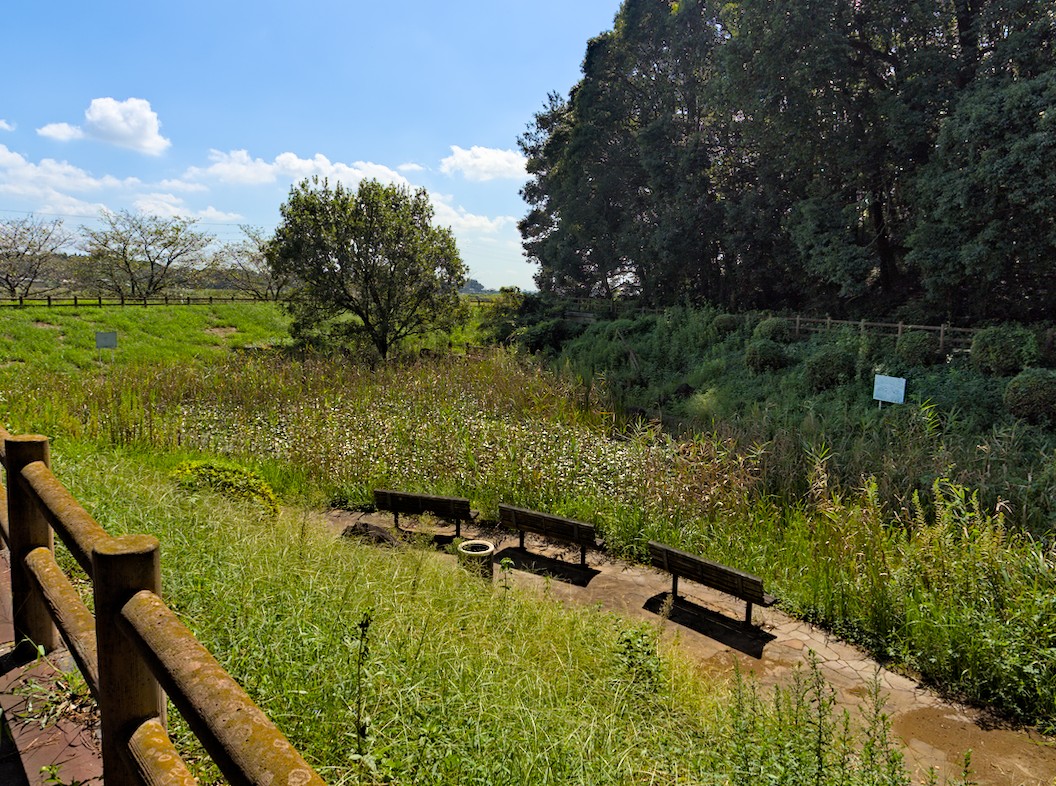 f:id:computer_philosopher:20200921123621j:plain f:id:computer_philosopher:20200921123621j:plain