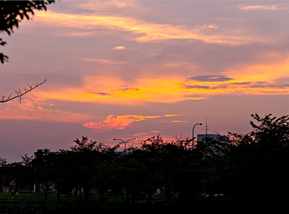 f:id:computer_philosopher:20200928104016j:plain