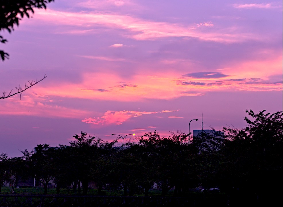 f:id:computer_philosopher:20200928104058j:plain