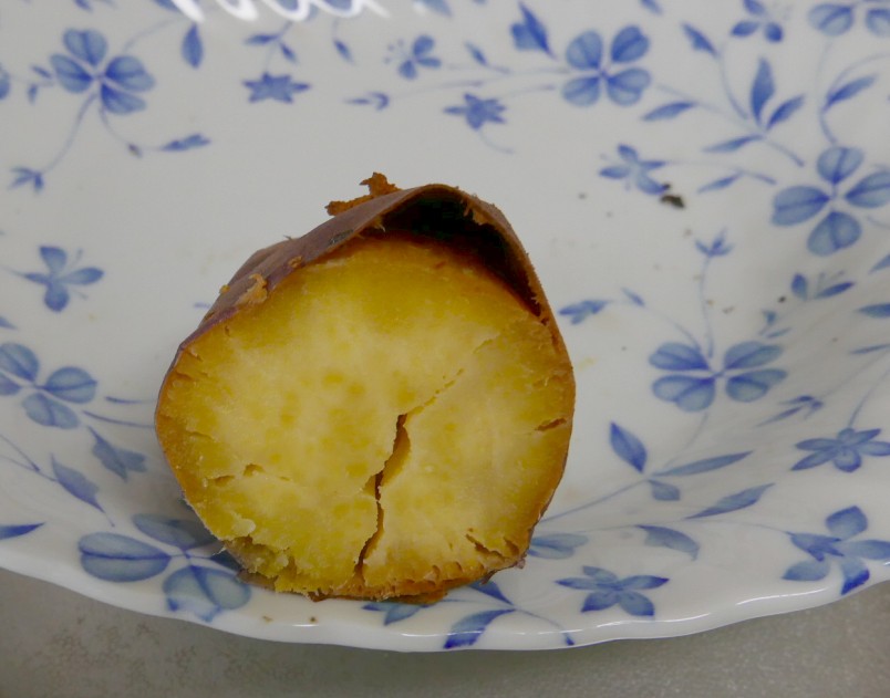 f:id:computer_philosopher:20201103213857j:plain f:id:computer_philosopher:20201103213857j:plain