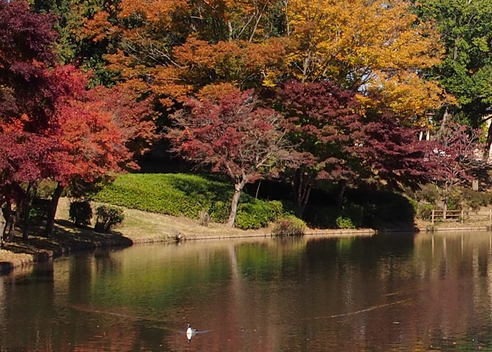 f:id:computer_philosopher:20201110204725j:plain