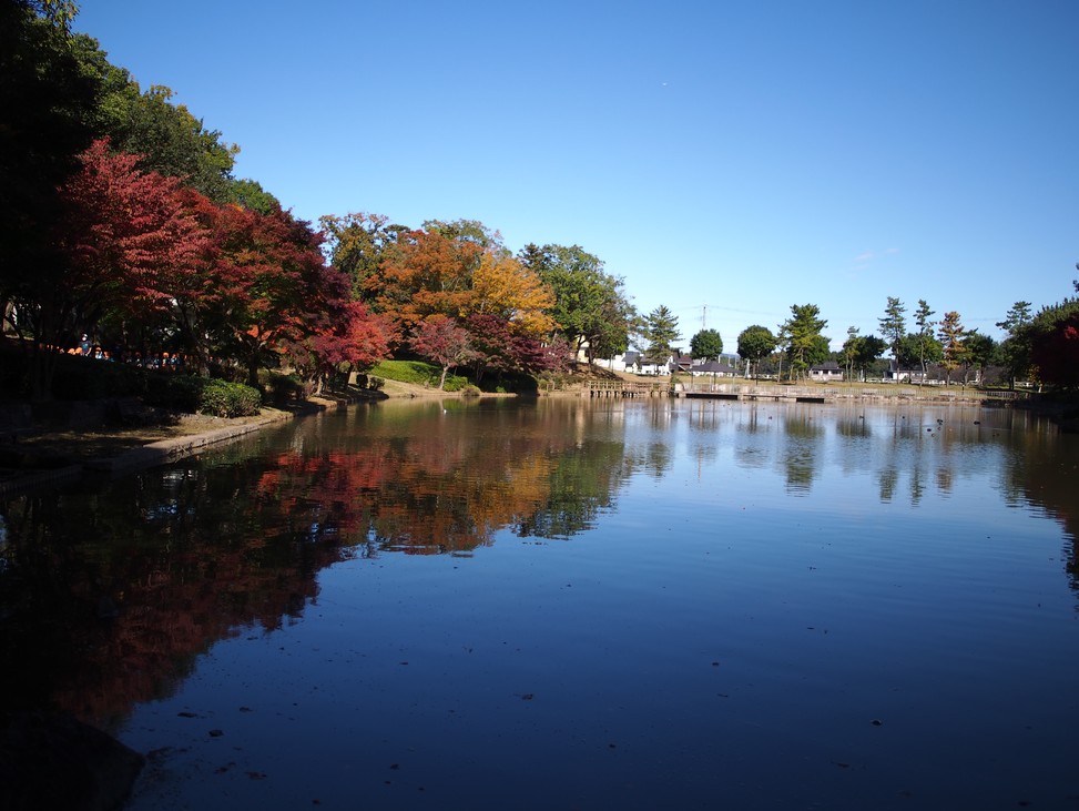 f:id:computer_philosopher:20201111220514j:plain